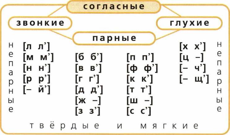 Названия согласных. Таблица парных согласных звуков русского языка. Глухие согласные буквы в русском языке 2 класс таблица. Звонкие парные согласные звуки в русском языке. Согласные буквы и согласные звуки в русском языке.