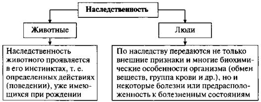 Группа людей отличающаяся наследственными внешними признаками. Какие биологические признаки наследует человек. Какие наследственные признаки наследует человек. Что такое наследственность какие биологические. Наследственные биологические признаки.