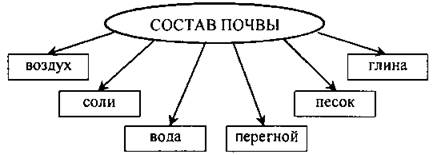 Схема состав почвы 5 класс